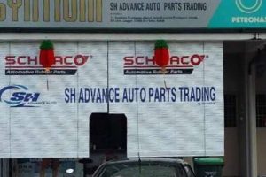 SH Advance Auto Parts Trading